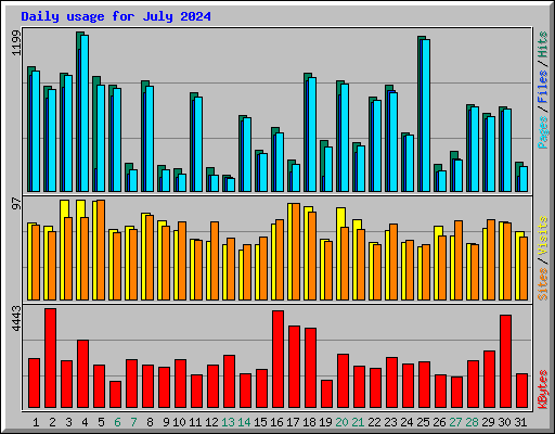 Daily usage for July 2024