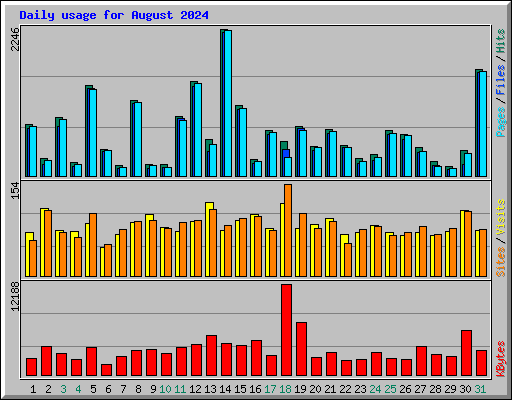 Daily usage for August 2024