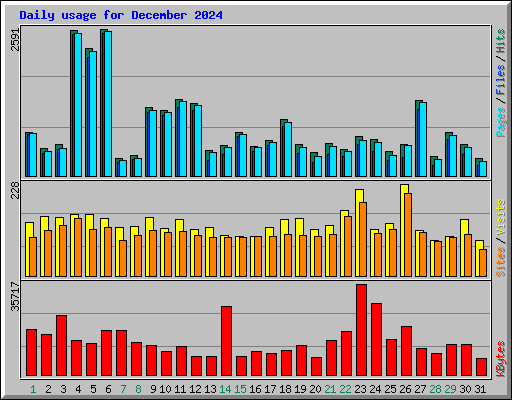Daily usage for December 2024