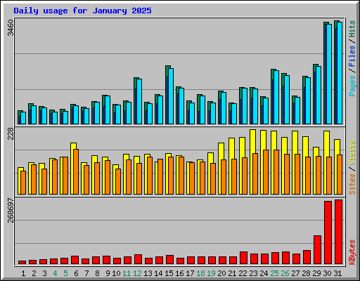 Daily usage for January 2025