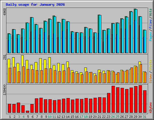 Daily usage for January 2026
