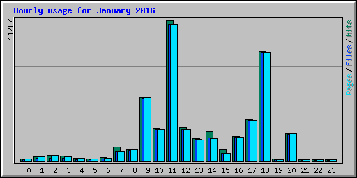 Hourly usage for January 2016