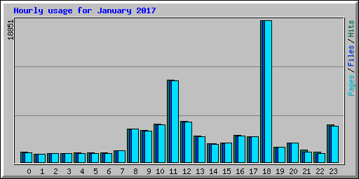 Hourly usage for January 2017