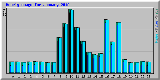 Hourly usage for January 2019