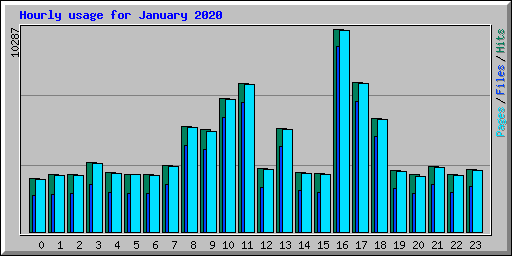 Hourly usage for January 2020