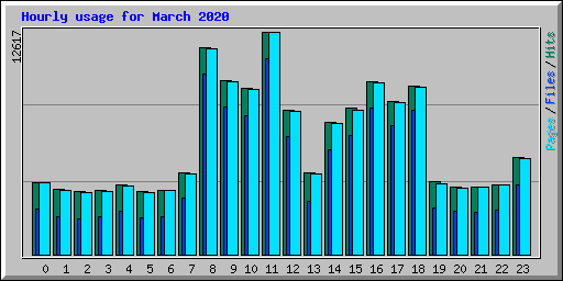 Hourly usage for March 2020