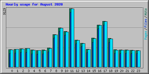 Hourly usage for August 2020