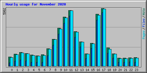 Hourly usage for November 2020