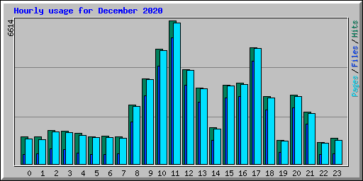 Hourly usage for December 2020