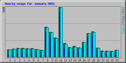 Hourly usage for January 2021