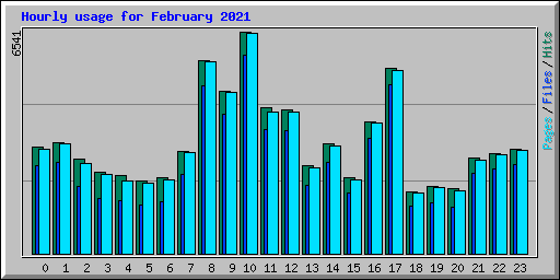 Hourly usage for February 2021