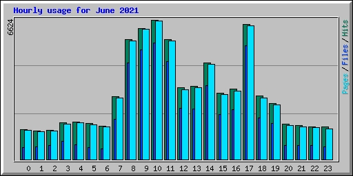 Hourly usage for June 2021