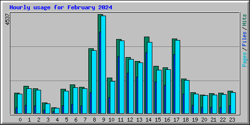 Hourly usage for February 2024