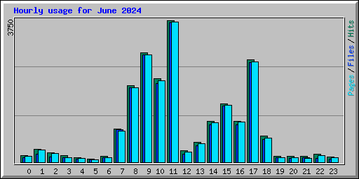 Hourly usage for June 2024