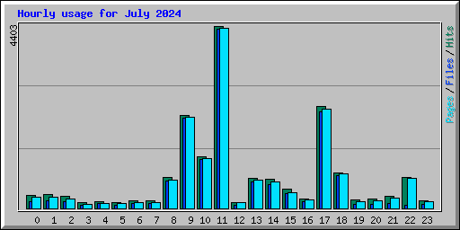 Hourly usage for July 2024