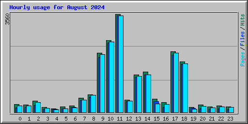 Hourly usage for August 2024