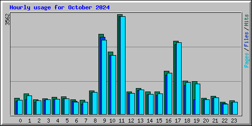 Hourly usage for October 2024