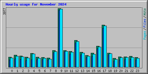 Hourly usage for November 2024