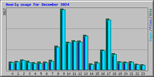 Hourly usage for December 2024