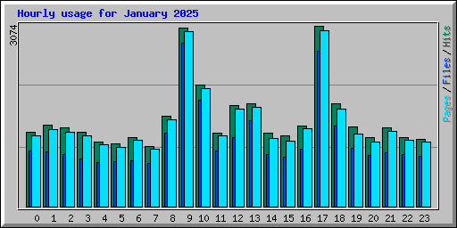 Hourly usage for January 2025