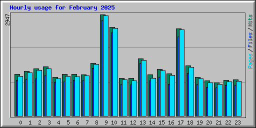 Hourly usage for February 2025