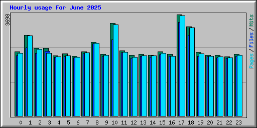 Hourly usage for June 2025