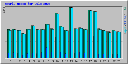 Hourly usage for July 2025