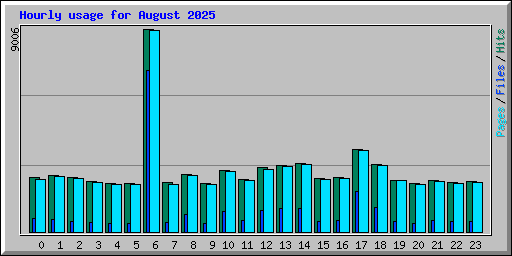 Hourly usage for August 2025