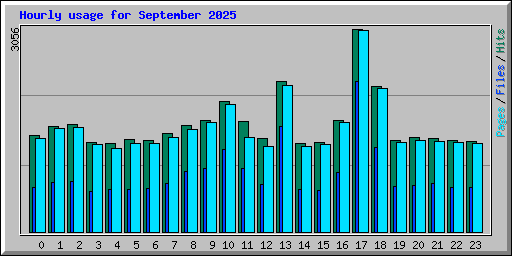 Hourly usage for September 2025