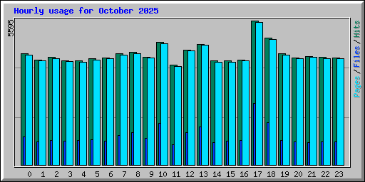 Hourly usage for October 2025
