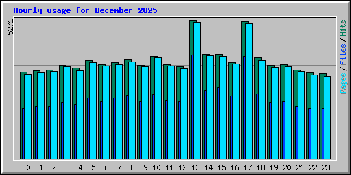 Hourly usage for December 2025