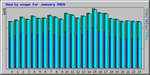 Hourly usage for January 2026