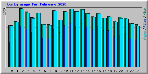 Hourly usage for February 2026